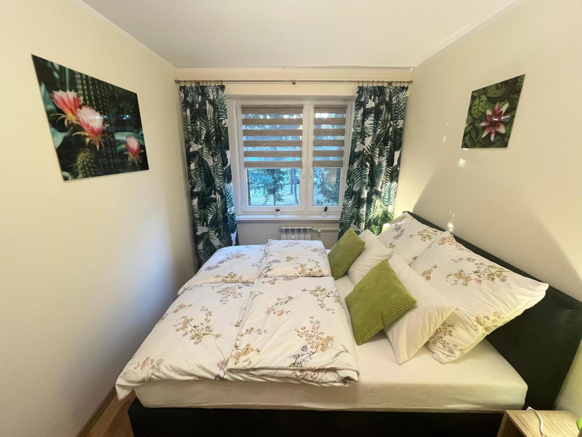 Apartment Zakatek