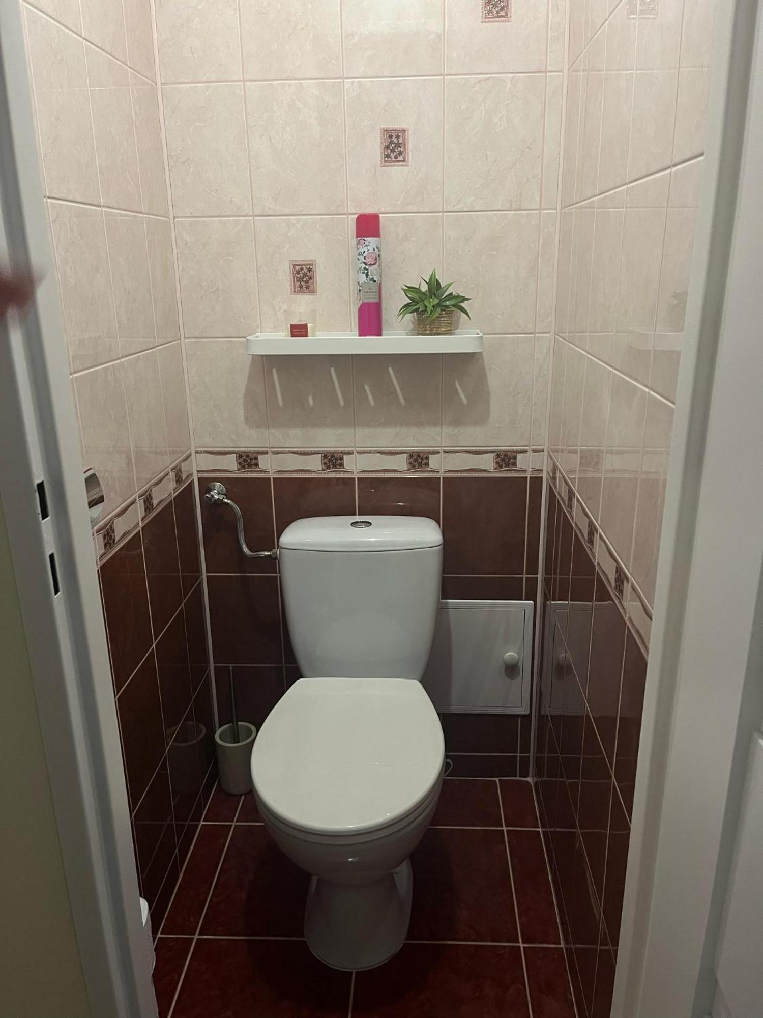 Zakatek Apartment